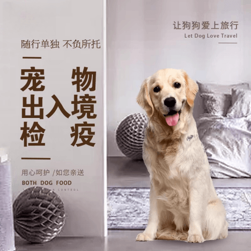 合肥市宠物托运到哥伦比亚猫狗宠物入境规定和