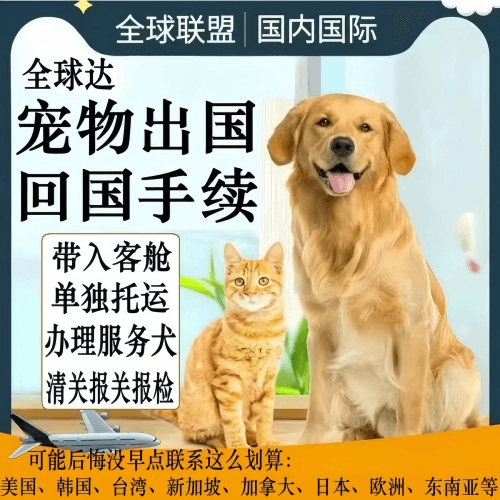 合肥市宠物托运到柬埔寨宠物入境规定和要求