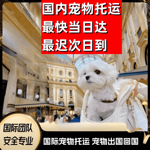 合肥市到澳大利亚（澳洲）宠物入境规定和要求