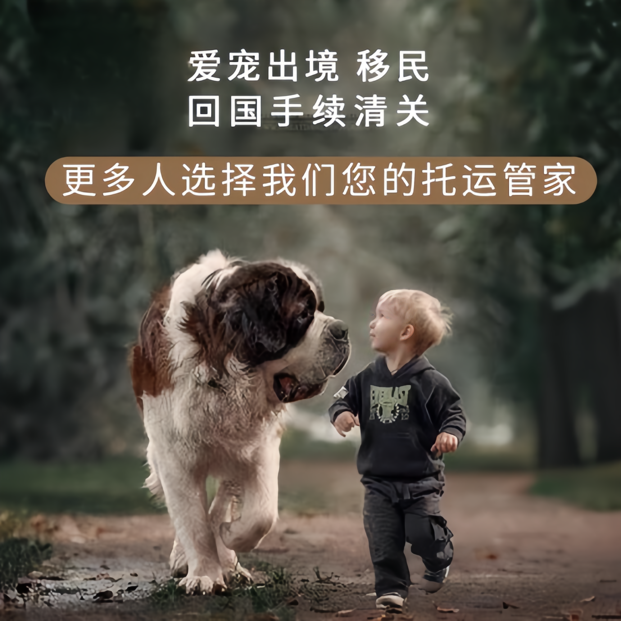 满财合肥市宠物全球达宠物托运在遵守入境目的地政策的条件